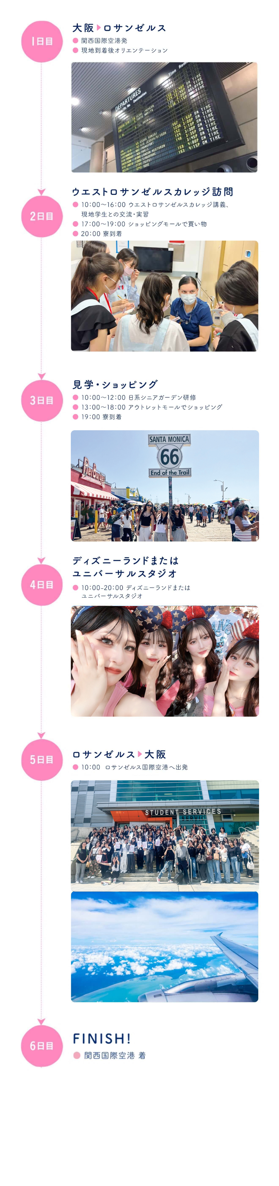 海外研修の様子