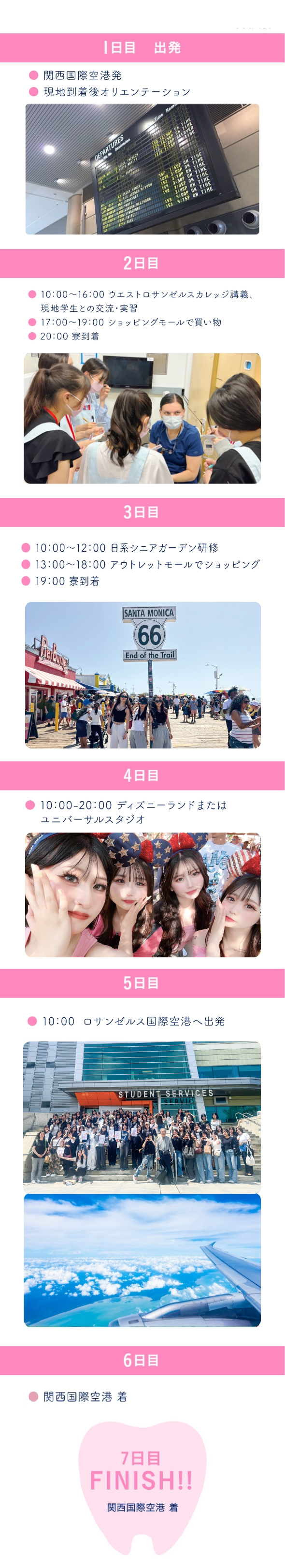 海外研修の様子