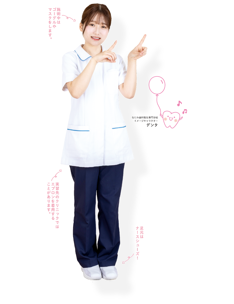 歯科衛生士　図表